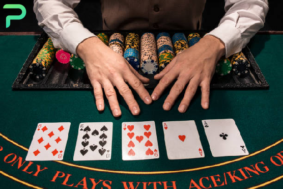 pino casino nl
